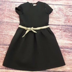 Nove short sleeve waisted shimmery dress sz 7